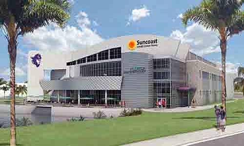 suncoast pic